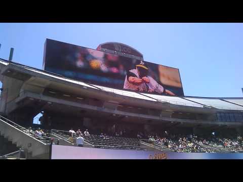 Oakland Athletics 2015 Introduction Oakland Athletics 2015 Introduction