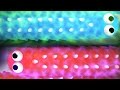 Wormax.io - World Biggest Scary Worm w/ Wormaxio Epic Gameplay Wormax.io - World Biggest Scary Worm w/ Wormaxio Epic Gameplay