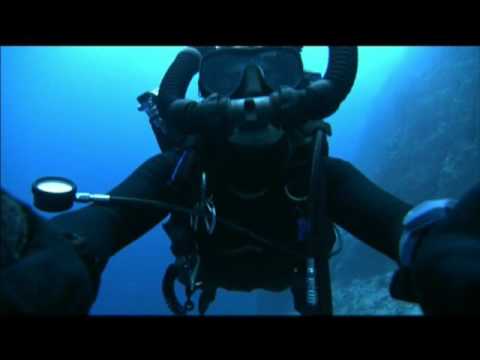 Watch Sharkwater Online Sharkwater Full Movie Online