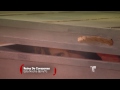 Reina de Corazones / Avance Cap 12 / Telemundo Reina de Corazones / Avance Cap 12 / Telemundo