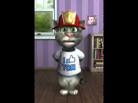 DON GATO 717 don gato 717: