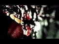 The Dillinger Escape Plan - When I Lost My Bet (Official Music Video)