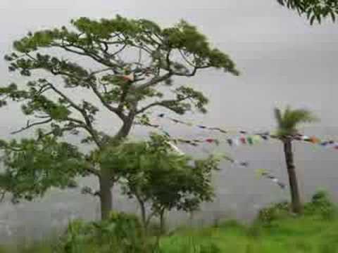 Gaarva - Milind Ingle