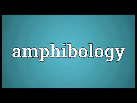 Header of amphibology