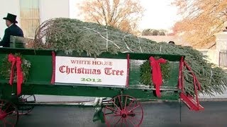 The First Lady Receives the 2012 White House Christmas Tree