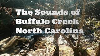 The Sounds of Buffalo Creek, North Carolina (Forever Yours Ranch)