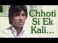 Chhoti Si Ek Kali Khili Thi | Jurmana (1979) Song | Rakhee | Amitabh Bachchan | Lata Mangeshkar