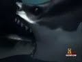 Megalodon Vs Liopleurodon