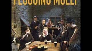 Watch Flogging Molly The Story So Far video