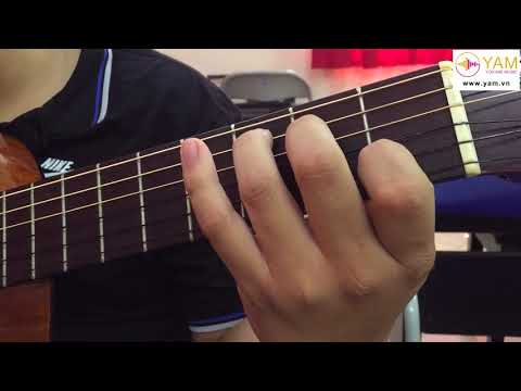 Hướng dẫn cách đánh bài Tôi Thấy Hoa Vàng Trên Cỏ Xanh bằng đàn Guitar - YAM.vn