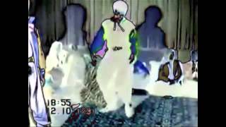 Blue Dance - The Nubiles
