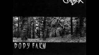 Watch Coilbox Body Farm video