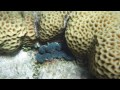 Atolls Of South Pacific images Atolls Of South Pacific