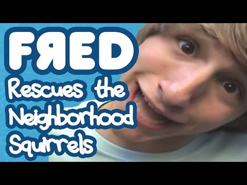 Fred Rescues the Neighborhood Squirrels