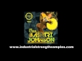 Bashiri Johnson - Bitz & Piecez - Sample Pack vol 2