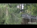 LOUD Anti-Lag & Backfires SOUND!! 206 WRC, Delta HF Integrale, Clio R3, LP600 GT3 & More