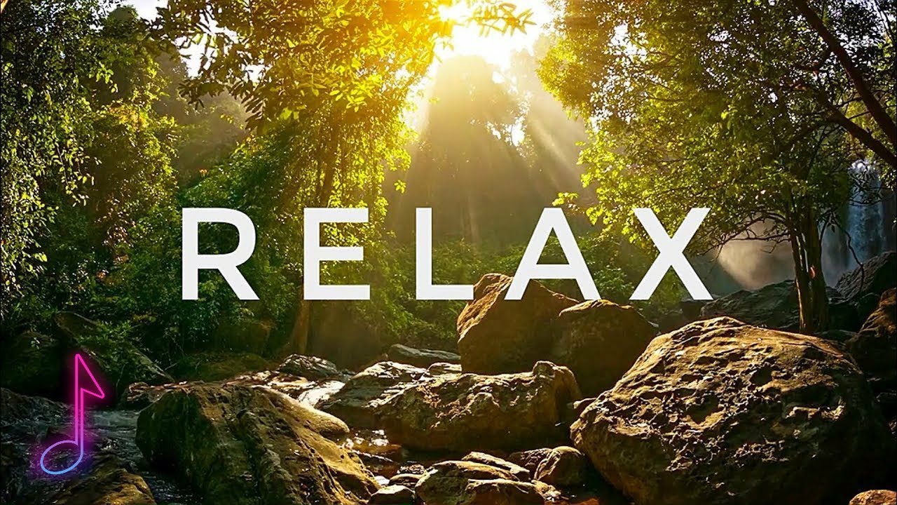Relax good expert compilation