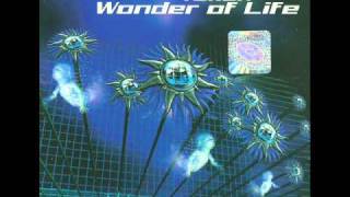 Watch Tukan Wonder Of Life video