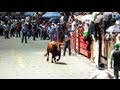 Cornada de gravedad en Huamantlada 2013