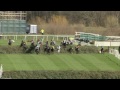 2015 Crabbie's Grand National - Many Clouds - Racing UK