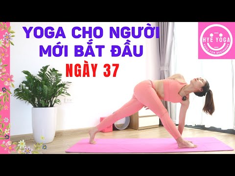 Yoga Cho Người Mới Bắt Đầu | Ngày 37