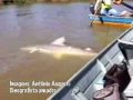 Video de Trilhas da pesca - 03/05/2009 - parte 3/4