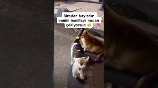 Bi̇li̇ncli̇ Olmak Şart , , , , , , ,