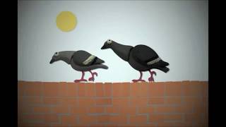 Watch Blur Woodpigeon Song video