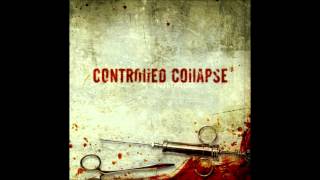 Watch Controlled Collapse Trust takes Time video