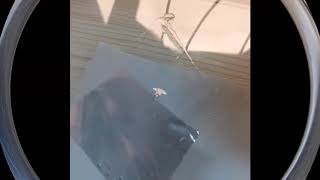 AI automotive glass repair systems,3-7 mins can repair crack and 30-50 CM long crack