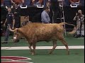 BEVO XIII leaves the 1999 Big XII Championship game
