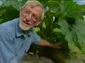 vegetables