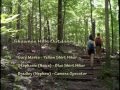 Hawks Cave at Ferne Clyffe State Park in Southern Illinois
