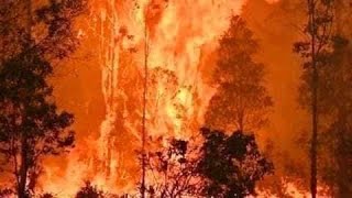 Avustralya'da  yangın/ 500 Bin canlı öldü/Yağmur yağıyor Avustralia'ya şükürler 