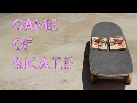 Mouse Traps on Skateboard
