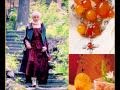 Ambra pietra preziosa di Ucraina Ambra pietra preziosa di Ucraina