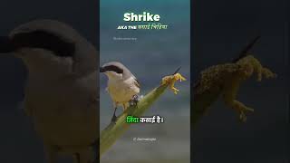 Share With Ur Friends