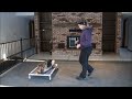 Stella (German Shepherd) Dog Training Video