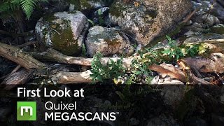 Basics Of Quixel Megascans