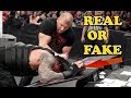 Is WWE Wrestling Fake Or Real? How it Works- Explained | Action Mania Is WWE Wrestling Fake Or Real? How it Works- Explained | Action Mania