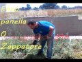 Panella