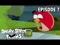 Angry Birds Toons | Gordon Bleugh! - S1 Ep7