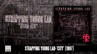 Watch Strapping Young Lad Room 429 video