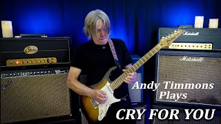 Watch Andy Timmons Cry For You video
