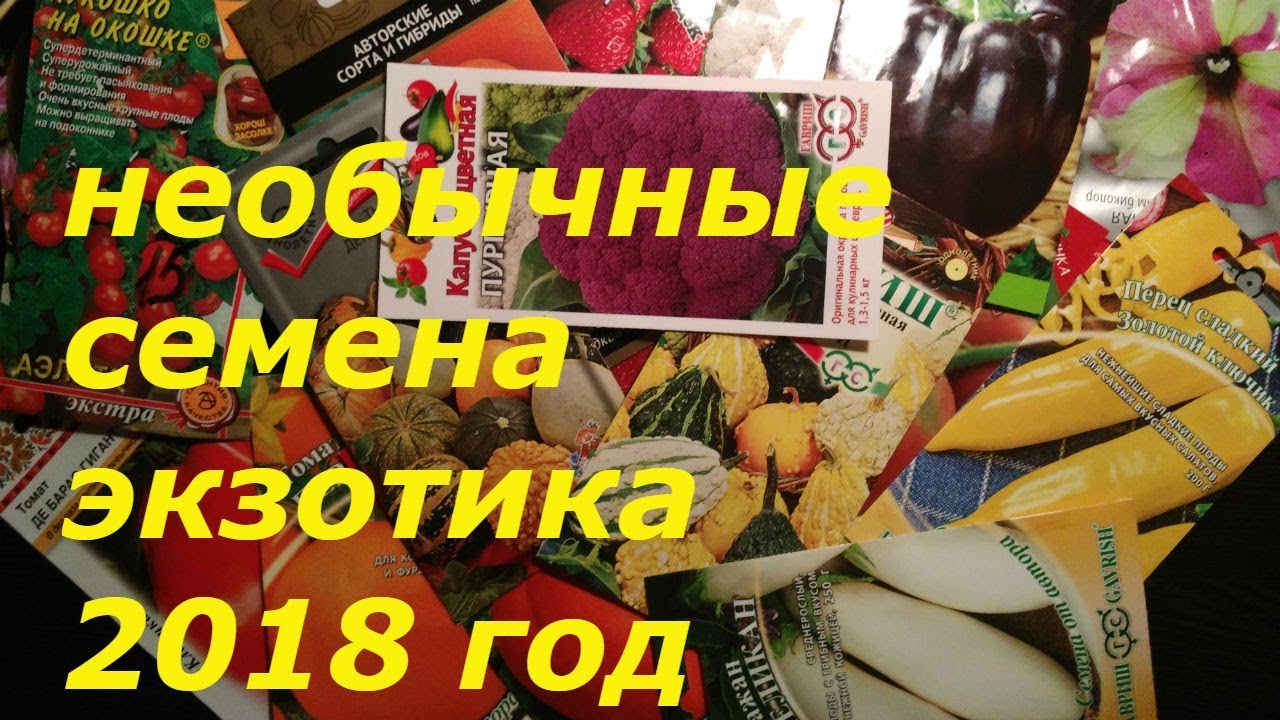 Все семена почтой 2018 Все семена почтой 2018