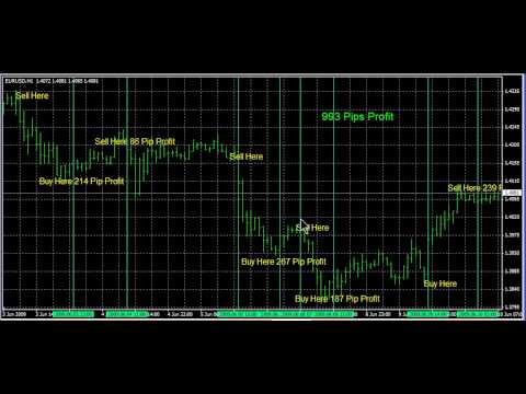 Forex pro's secret system software