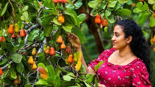 Traditional Cashew Apple & Nut Recipes 🍎 Delicious Fruit Dishes from Sri Lanka (