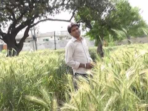 Ahmad Wasim okara darwaze pe tere barat...