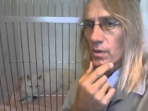 Help us pay our vet bills
