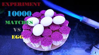Experiment 10000 Matches Vs Egg Ninja Lead